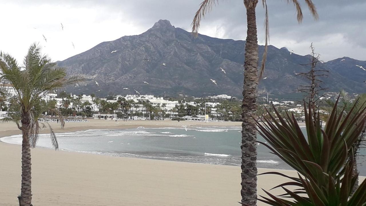 Marbella Nagueles Leilighet Eksteriør bilde